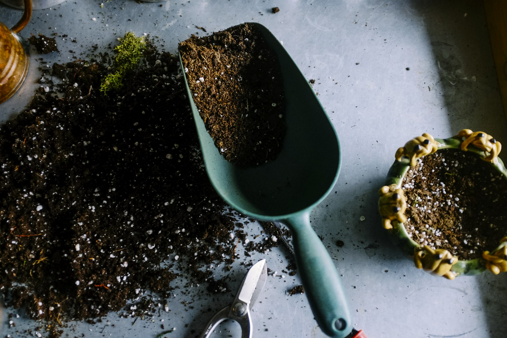 Hands working with soil